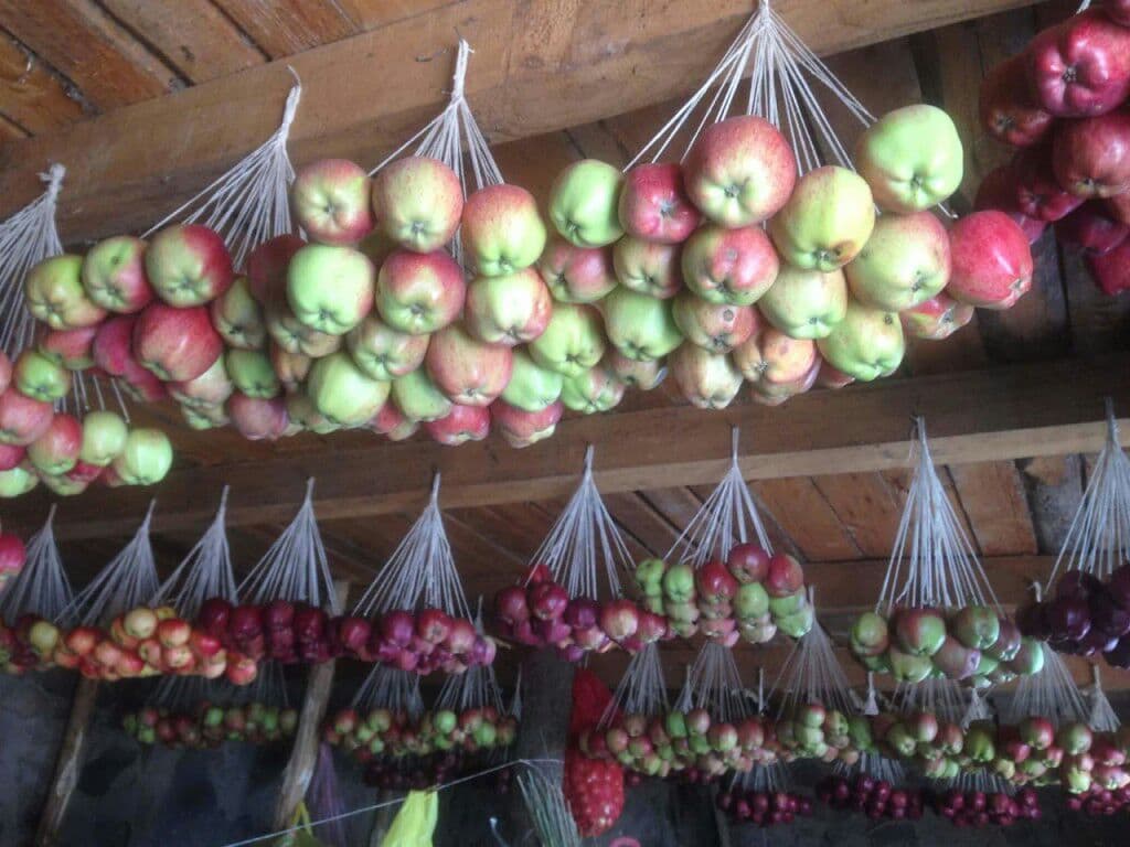 Как сохранить яблоки свежими на зиму в домашних условиях?