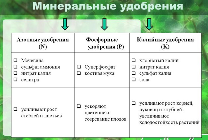 Техника внесения минеральных удобрений: что нужно знать