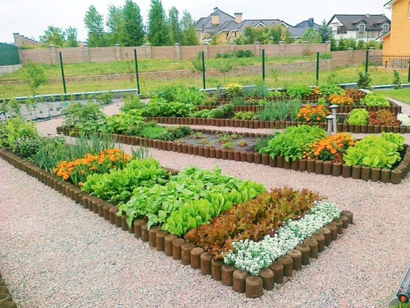 Огородное соседство - основные принципы расположения культур на грядках