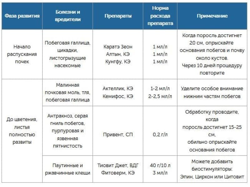 Чем опрыскать малину в августе от вредителей. %D0%BE%D0%B1%D1%80%D0%B0%D0%B1%D0%BE%D1%82%D0%BA%D0%B0. Чем опрыскать малину в августе от вредителей фото. Чем опрыскать малину в августе от вредителей-%D0%BE%D0%B1%D1%80%D0%B0%D0%B1%D0%BE%D1%82%D0%BA%D0%B0. картинка Чем опрыскать малину в августе от вредителей. картинка %D0%BE%D0%B1%D1%80%D0%B0%D0%B1%D0%BE%D1%82%D0%BA%D0%B0. Любой садовод, высаживая на загородном участке малину, желает ежегодно получать большие урожаи. Однако планы не всегда осуществляются. Причины ее слабого роста и низкой урожайности очень просты: причинение сильных повреждений вредителями и болезнями. Прежде чем обработать малину во время цветения, плодоношения, а также на других стадиях развития и навсегда защитить от вредителей, стоит ознакомиться с описанием болезней и установить точный диагноз.