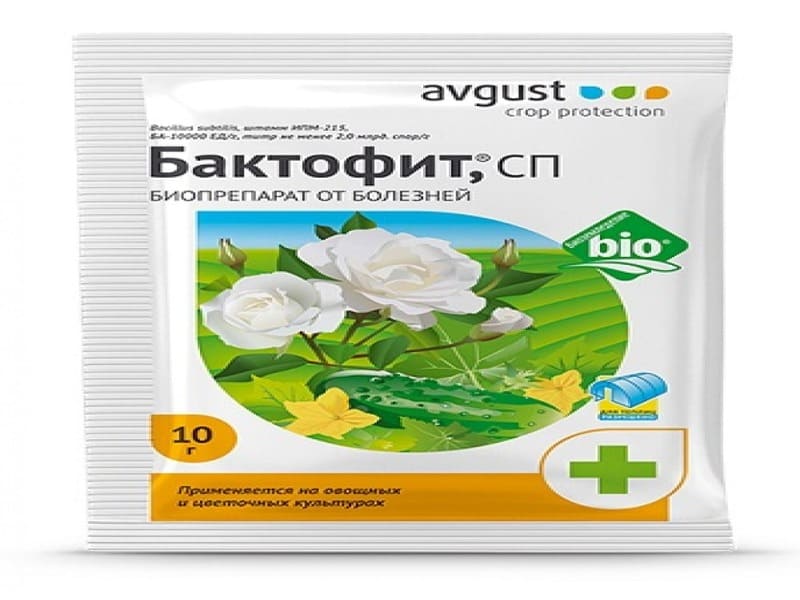 как повысить урожайность помидор и огурцов. Смотреть фото как повысить урожайность помидор и огурцов. Смотреть картинку как повысить урожайность помидор и огурцов. Картинка про как повысить урожайность помидор и огурцов. Фото как повысить урожайность помидор и огурцов