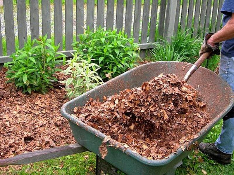 Как правильно приготовить компост для улучшения плодородия почвы