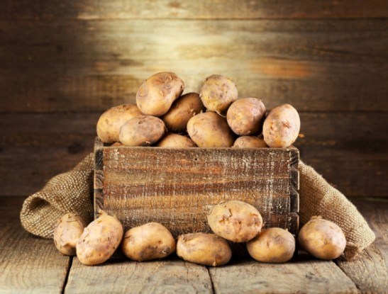 Сырой картофель при геморрое: как применять и как делать свечи из картофеля