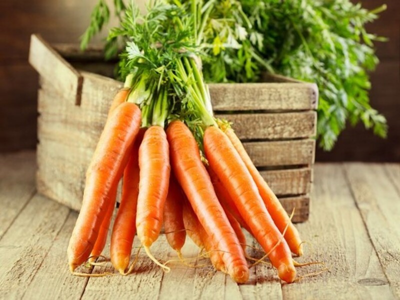 Как правильно хранить морковь и свеклу, чтобы они пролежали всю зиму? | Новости Беларуси|БелТА