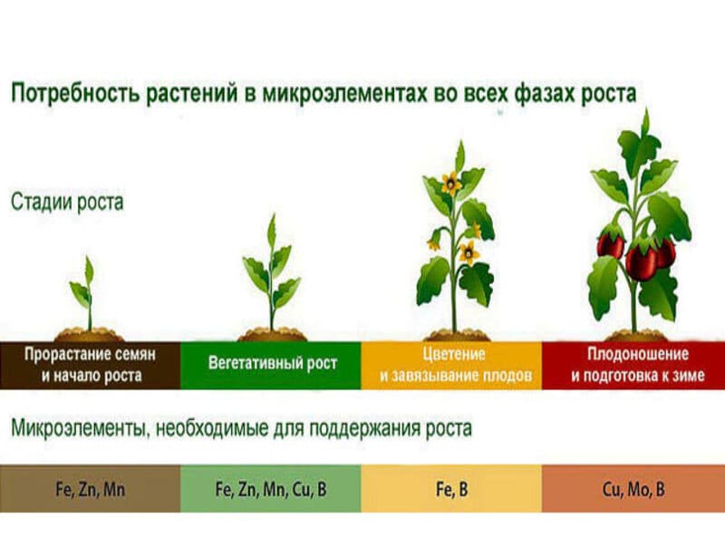 Повышение урожайности растений