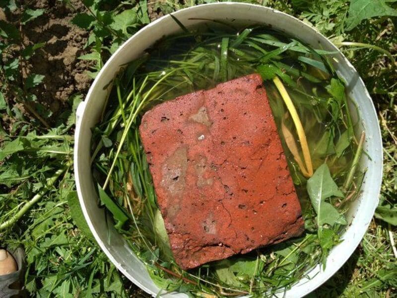 Травяной настой для подкормки огурцов. Травяной настой для подкормки растений. Травяной настой для подкормки растений как приготовить. Как поливать настоем из травы соотношения. Удобрение из куриного навоза с крапивой что ещё можно добавить.