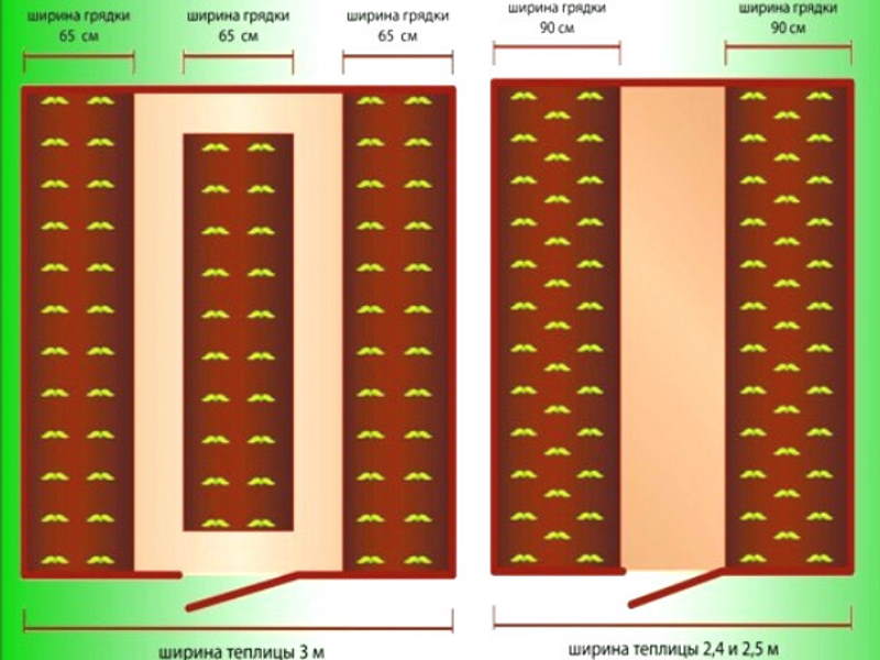 Схема грядок в теплице