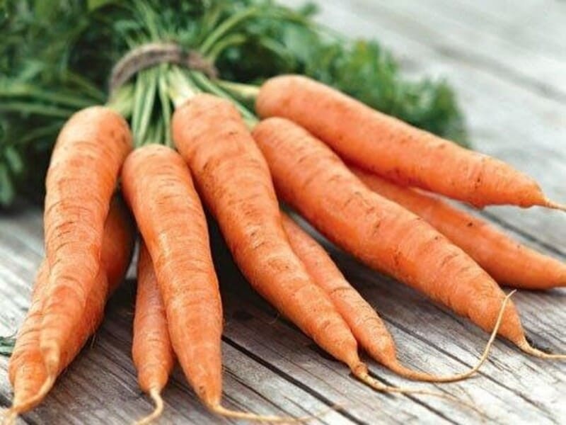 Выращивание моркови с помощью капельного орошения
