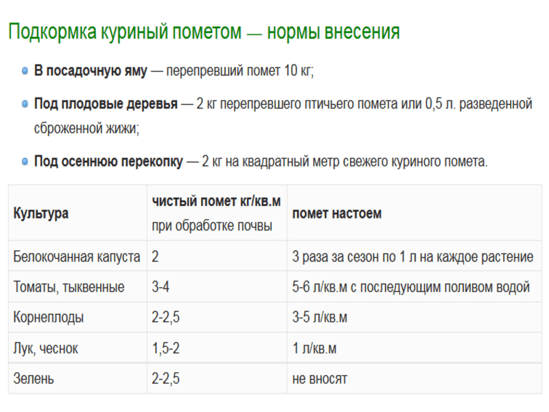 Можно ли поливать огурцы мочевиной