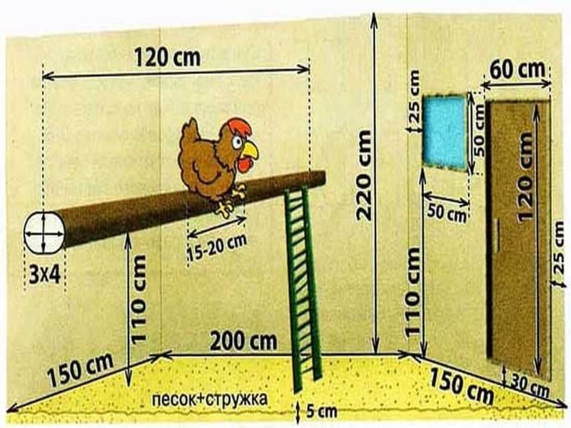 Высота гнезда для кур несушек от пола схема