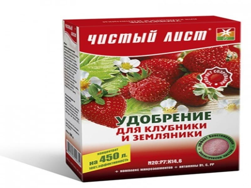 Чем и как лечить болезни клубники. %D1%83%D0%B4%D0%BE%D0%B1%D1%80%D0%B5%D0%BD%D0%B8%D0%B5. Чем и как лечить болезни клубники фото. Чем и как лечить болезни клубники-%D1%83%D0%B4%D0%BE%D0%B1%D1%80%D0%B5%D0%BD%D0%B8%D0%B5. картинка Чем и как лечить болезни клубники. картинка %D1%83%D0%B4%D0%BE%D0%B1%D1%80%D0%B5%D0%BD%D0%B8%D0%B5. Клубника, как и другие ягодные культуры, подвержена воздействию значительного количества болезней. Поражаются практически все органы: листья, черешки, цветоножки, а также ягоды. Развитие болезней клубники, в первую очередь зависит от почвы и климата, в котором она растет.