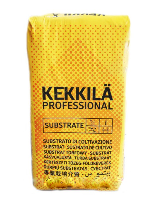 Күйеуі мен әйелі және досы