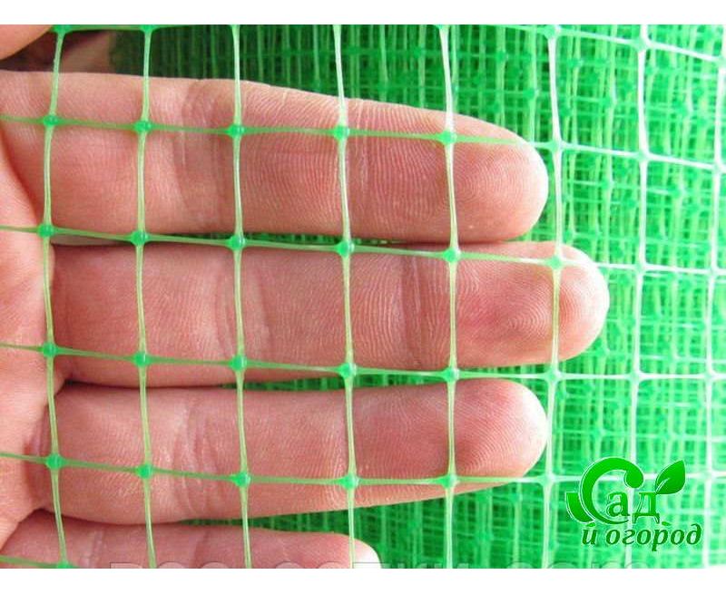 Mesh имплантат сетчатый. Как выглядит сетка. Сетка рябица или рабица. Сетка рабица 10*10*1,2 (1,5м*10м). Сетка пвс 40 оцинк.